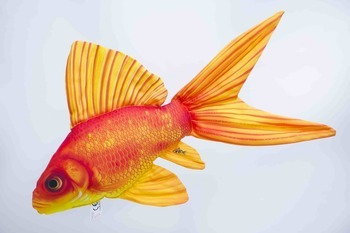 Foto - GOLD FISH, 60 cm